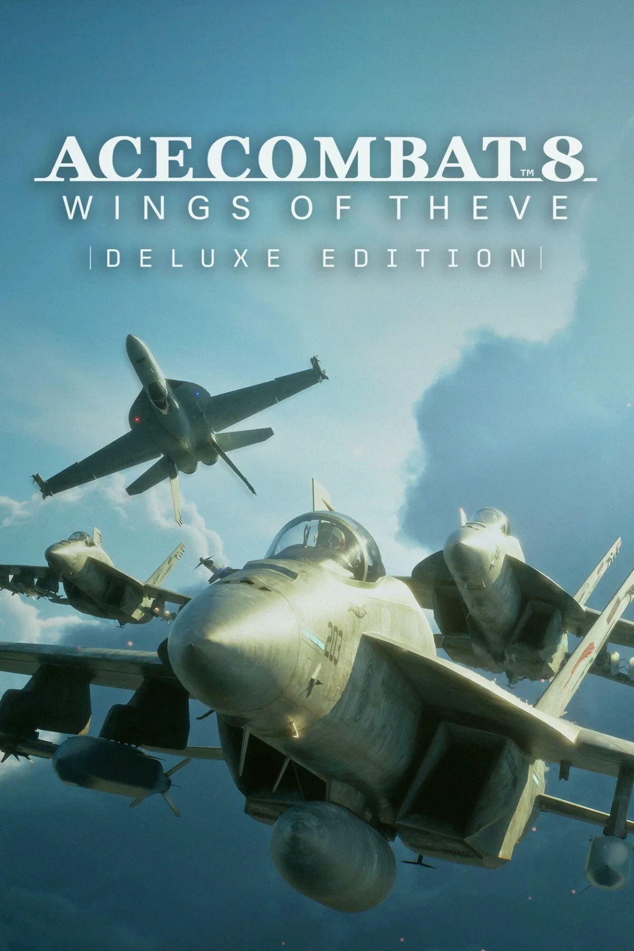 ACE COMBAT 8: WINGS OF THEVE